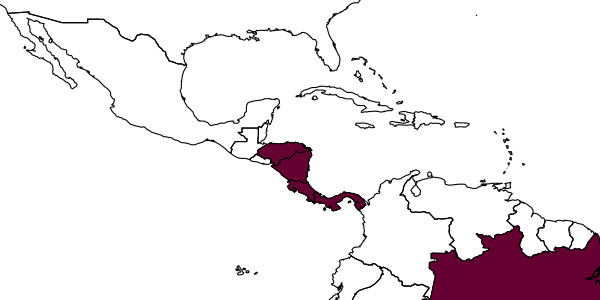 map of Xystromutilla turrialba     Casal, 1969